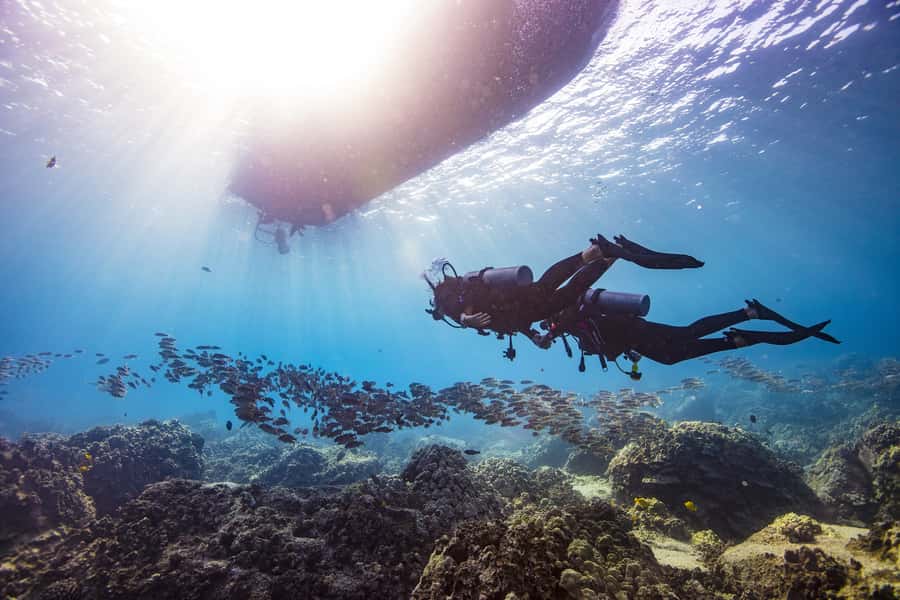 Dubai: PADI Open Water 18-Meter Diving Certification - Four open-water sessions complete the qualification
