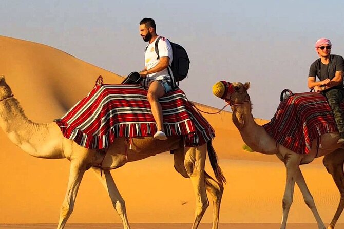Dubai Premium Evening Desert Safari ATVs, Dinner & Shows - The premium camp after dark