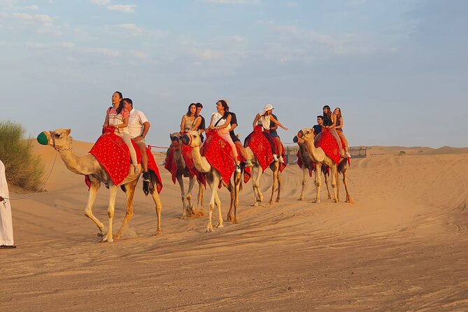 Dubai Premium Red Dunes Safari Camel Ride and BBQ Dinner - The guides can shape the whole day