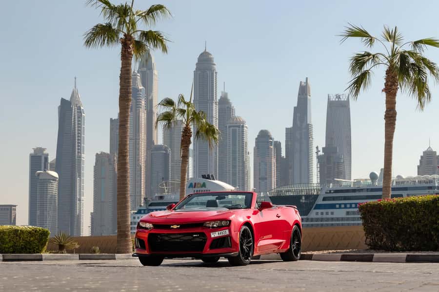 Dubai: Private City Sights Tour in a Cabriolet Convertible - Dubai Marina and the Modern Waterfront