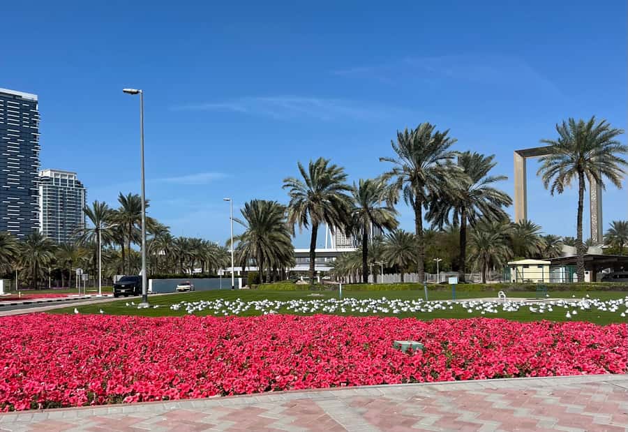 Dubai: Private City Tour with Burj Khalifa Levels 124/125 - Why this tour works for seeing two Dubais