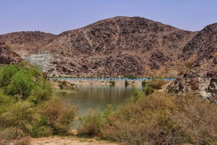 Dubai: Private Desert Day Tour and Wadi Shawka Pool Visit - Picnic lunch and refreshments keep the day simple