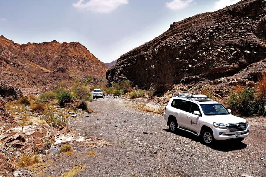 Dubai: Private Desert Day Tour and Wadi Shawka Pool Visit - Should you book the Wadi Shawka tour?