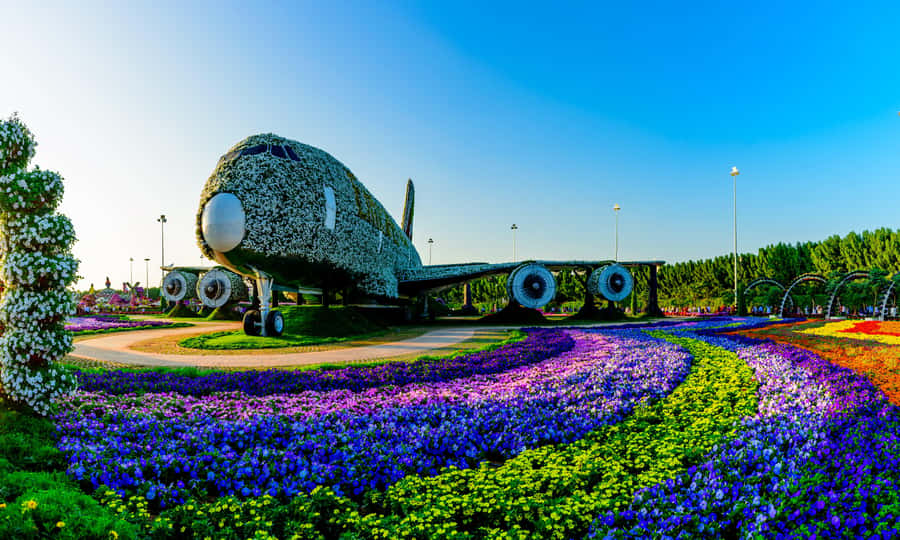 Dubai: Private Dubai Flora and Fauna Trip - Walking through Miracle Garden
