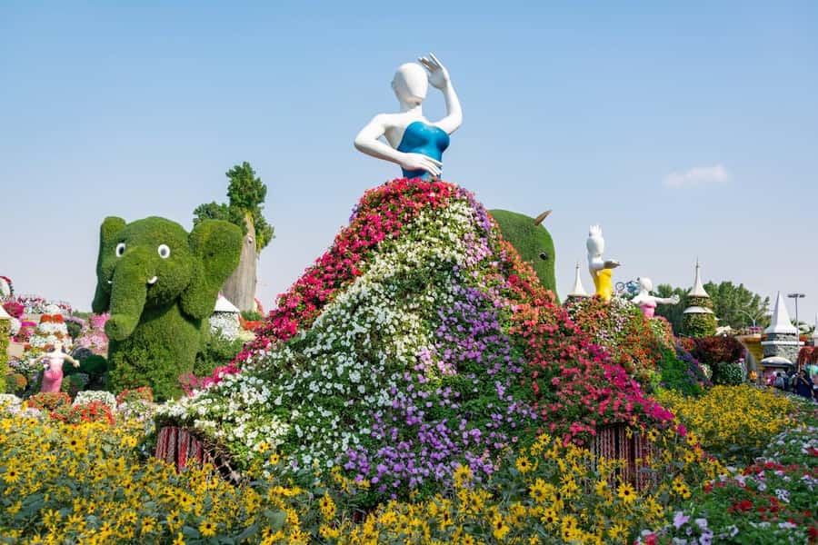 Dubai: Private Dubai Flora and Fauna Trip - How the timing works in real life
