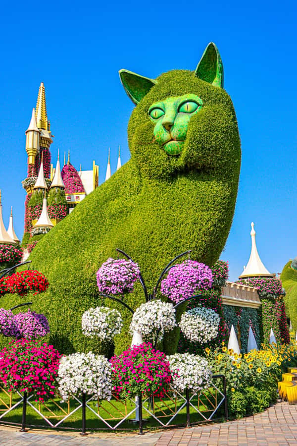 Dubai: Private Dubai Flora and Fauna Trip - Who will enjoy this outing most