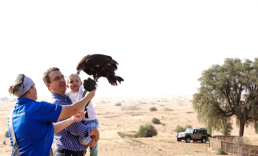 Dubai: Private Falconry Safari - The Dubai Desert Conservation Reserve by 4WD