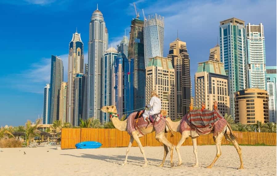 Dubai: Private Half-Day Sightseeing Tour - Burj Al Arab and Dubai’s famous road views