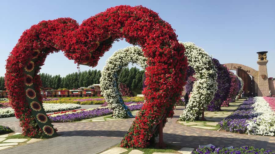 Dubai: Private Miracle Garden & Global Village Trip - Why this pairing works so well in Dubai