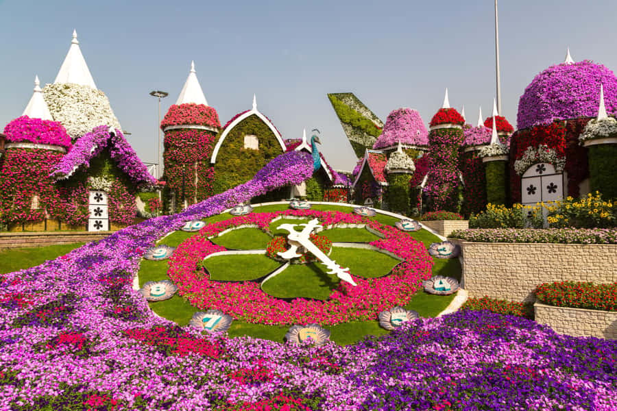 Dubai: Private Miracle Garden & Global Village Trip - The $103 price: where the value lies