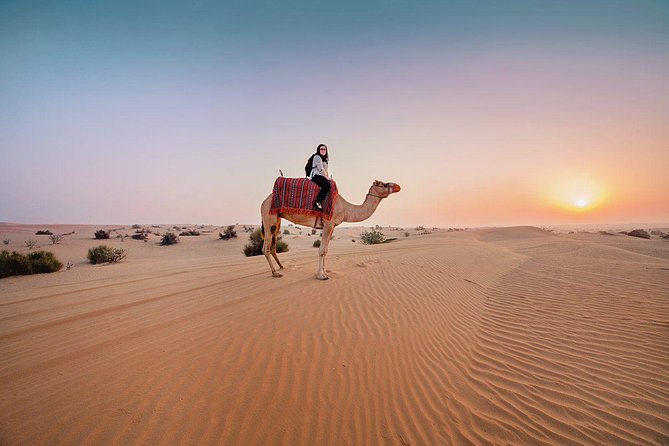 Dubai Private Morning Desert Safari: Camel Ride & Sandboarding - Why a morning safari makes sense in Dubai