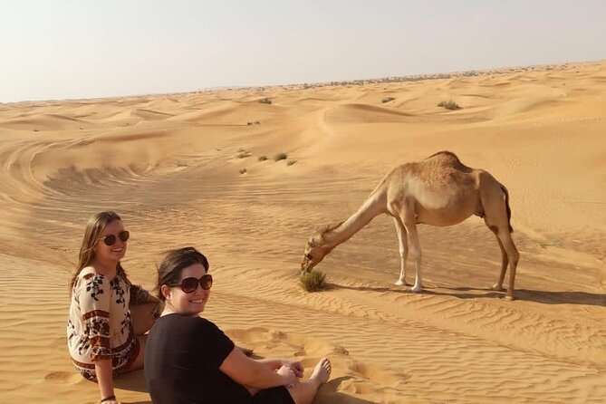 Dubai Private Morning Desert Safari: Camel Ride & Sandboarding - What the $159 group price really buys you