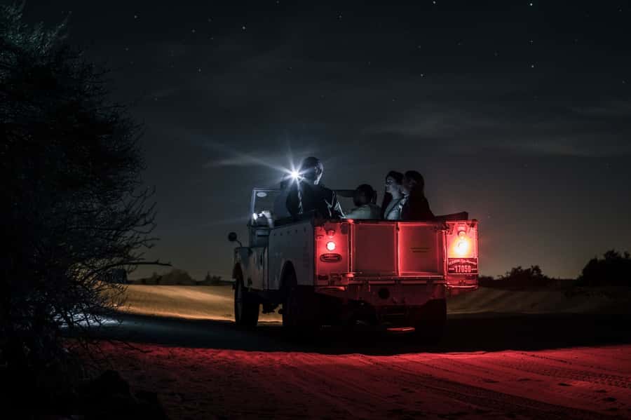 Dubai: Private Night Safari & Astronomy with 3-Course Dinner - A slower safari inside the conservation reserve