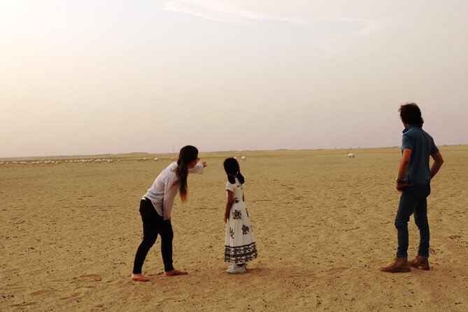 Dubai Private Sunset Desert Drive with Wildlife Experience - Arabian Oryx, gazelles, and an important guarantee
