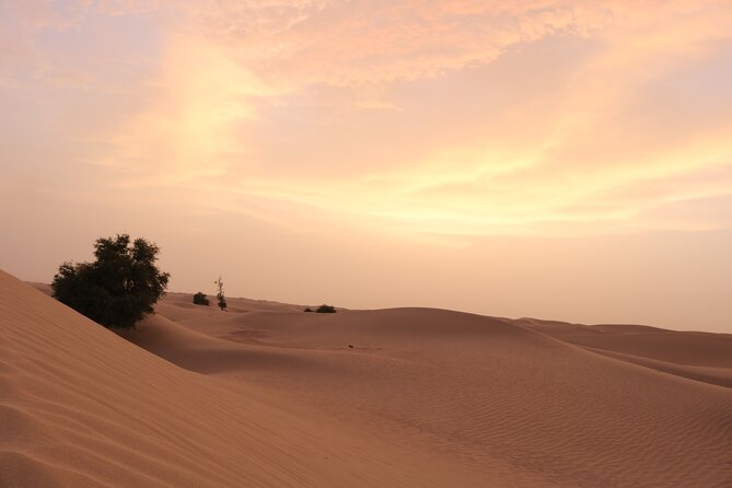 Dubai Private Sunset Desert Drive with Wildlife Experience - Coffee, dates, and the small comforts