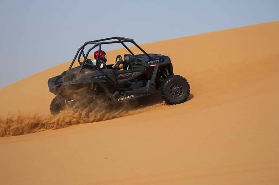 Dubai: Red Dune Desert, Dune Buggy Ride & BBQ Buffet Dinner - Who Should Book This Experience?