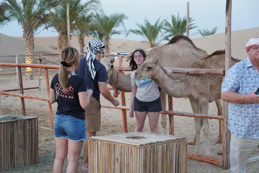 Dubai: Red Dune Desert Safari, Quad Bike, Camels, and BBQ - The seven-hour camp option