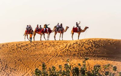 Red Dune Safari, Quad Bike, Camel Ride, BBQ Dinner