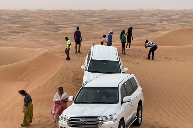 Dubai Red Dunes Afternoon Desert Safari with Camel Ride - A short camel ride with cultural context