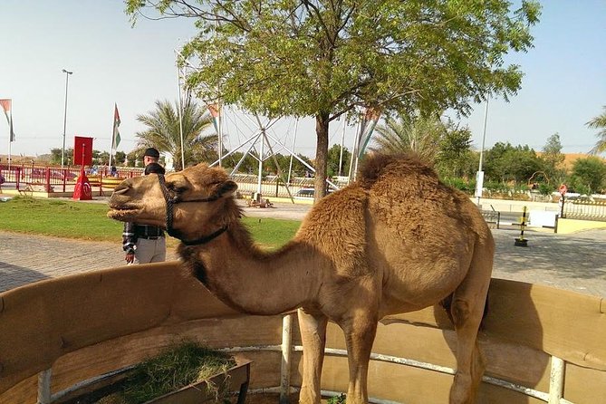 Dubai Red Dunes Desert Safari,ATV Quad Bike Camel Ride&BBQ Dinner - Red dunes, dune bashing, and photo stops