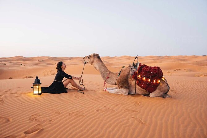 Dubai: Red Dunes Desert Safari, Camel ride, Sandboard, Quad Bike - Key points to know before you go