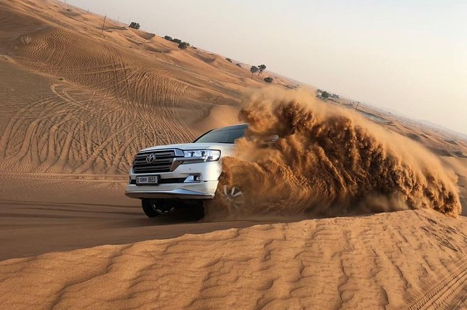 Dubai Red Dunes Desert Safari : Sandboarding, BBQ & Live Shows - Key points at a glance