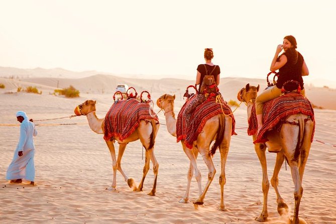 Dubai Red Dunes Desert Safari, With BBQ, Camel Ride, Sand Boarding And Much More - Is $50 a fair price for this Dubai desert safari?