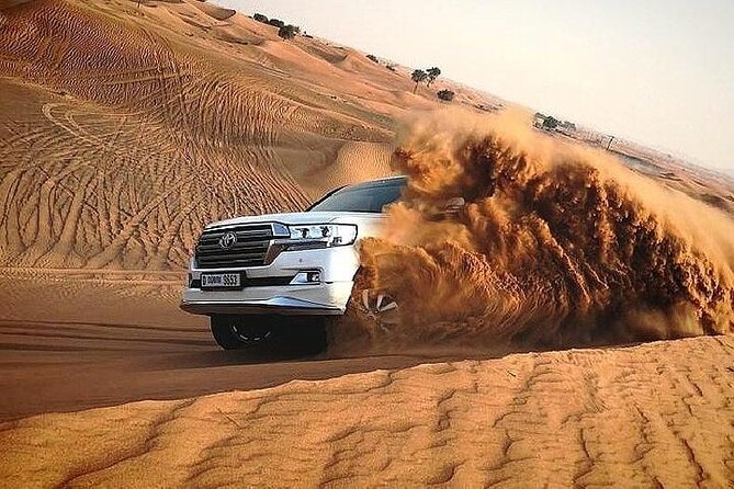 Dubai Red Dunes Desert Safari, With BBQ, Camel Ride, Sand Boarding And Much More - Practical tips for a smoother desert day