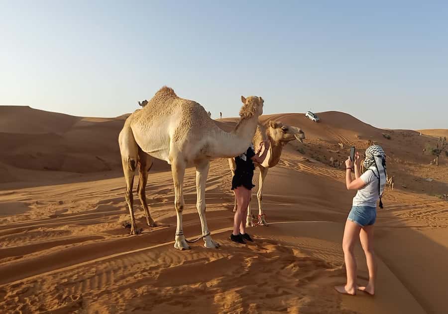 Dubai: Red Dunes Morning Desert Quad, Buggy or 4x4 Ride - Sandboarding, camel riding, and desert photos