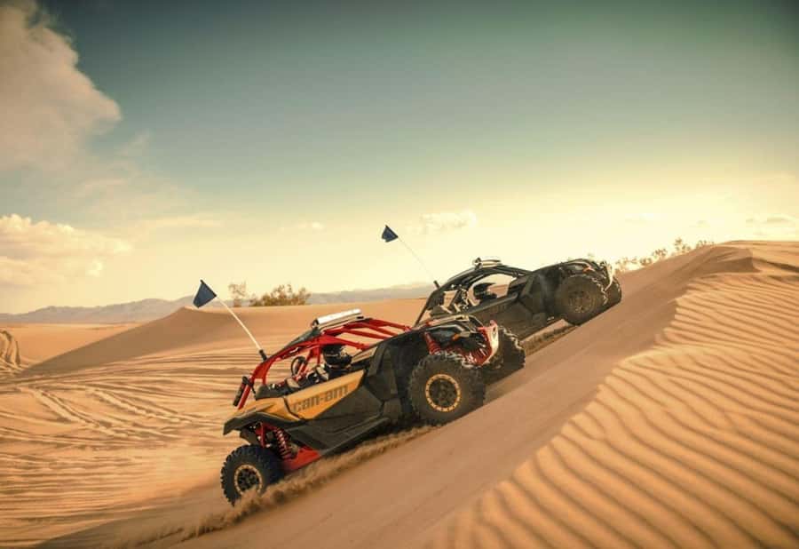 Dubai: Red Dunes Quad Bike, Dune Buggy, Camel & Refreshments - Choosing Between a Quad Bike and Dune Buggy