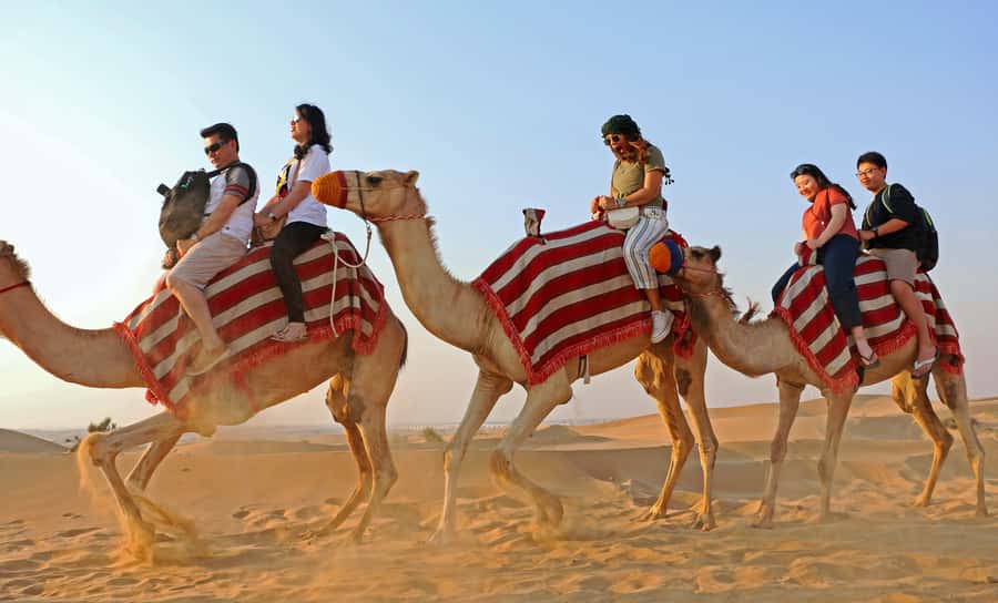 Dubai: Red Dunes Quad Bike with Sandboarding, Camels and BBQ - Camel ride, falcons, and Al Khayma Desert Camp