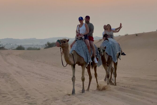 Dubai Red Dunes Safari, Camel Ride & Live BBQ - Is $51 good value?