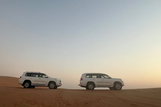 Dubai Red Dunes Safari, Camels, Live BBQ and Live Shows - Is this safari suitable for families?