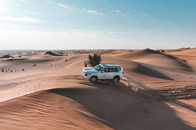 Dubai Red Dunes Safari: Dune Bashing, Camel Ride & Breakfast - A protected desert with more than red sand