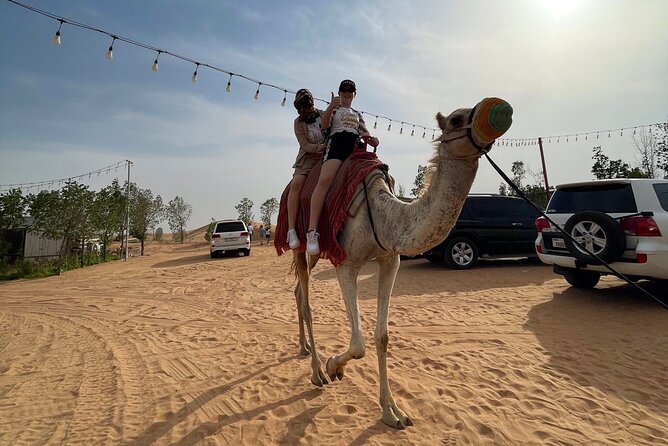 Dubai: Red Dunes, Sandsurf, Camel Ride, BBQ Dinner at Desert Camp - Four live shows after dark