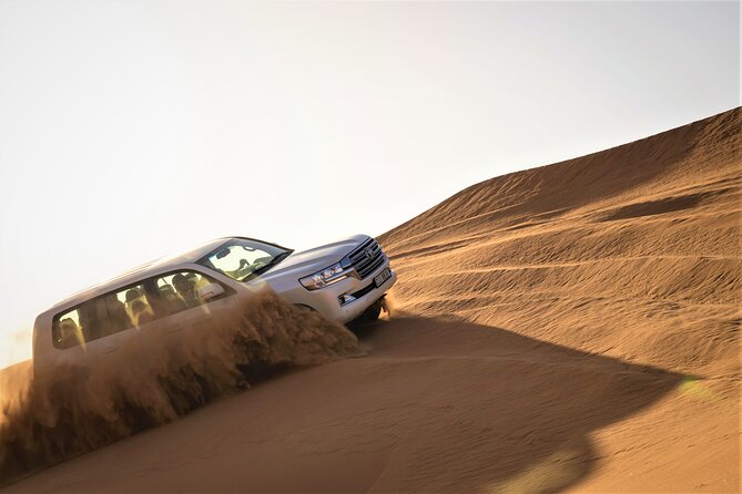Dubai Red Dunes with Sandboarding, Camel Ride, Falcon & VIP Camp - Key points at a glance