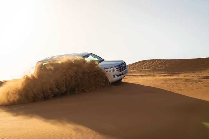 Dubai Red Dunes with Sandboarding, Camel Ride, Falcon & VIP Camp - Falcon photos and the Lahbab sunset