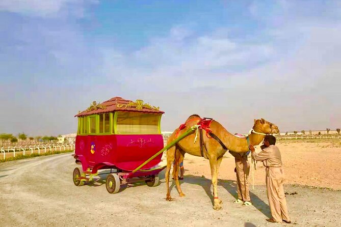 Dubai Royal Camel Race with Prime Seats & Short Camel Ride - Who should book the camel race?