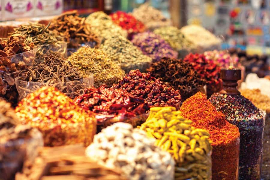 Dubai's Ancient Charm Tour - Who should book this Dubai tour?