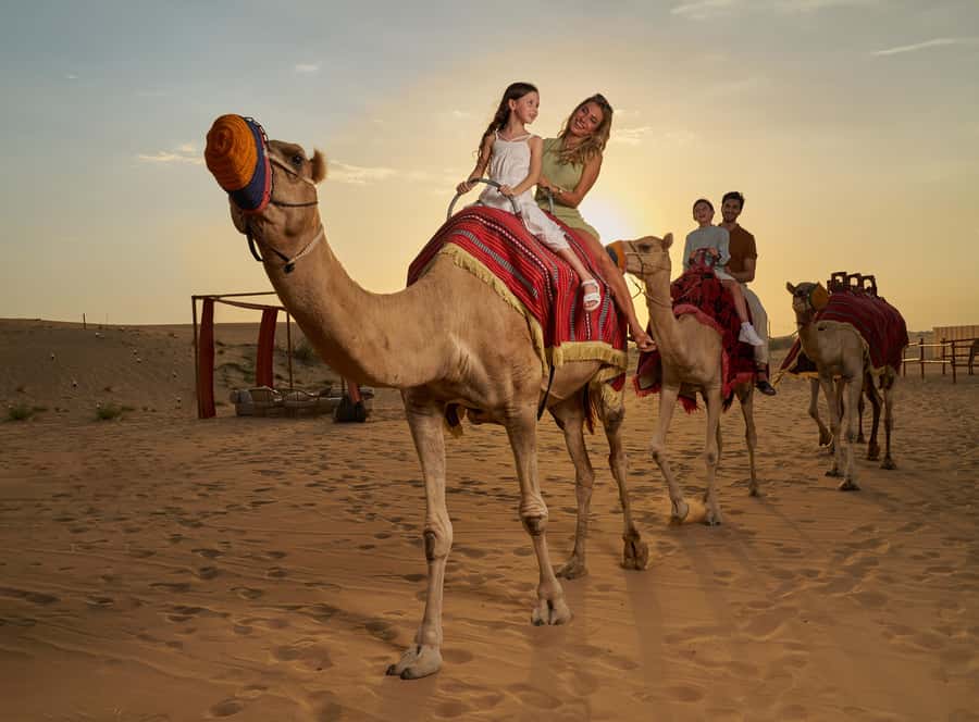 Dubai’s Best Desert Safari: Live Show & Gourmet BBQ Dinner - From Dubai Pickup to the Lahbab Red Dunes