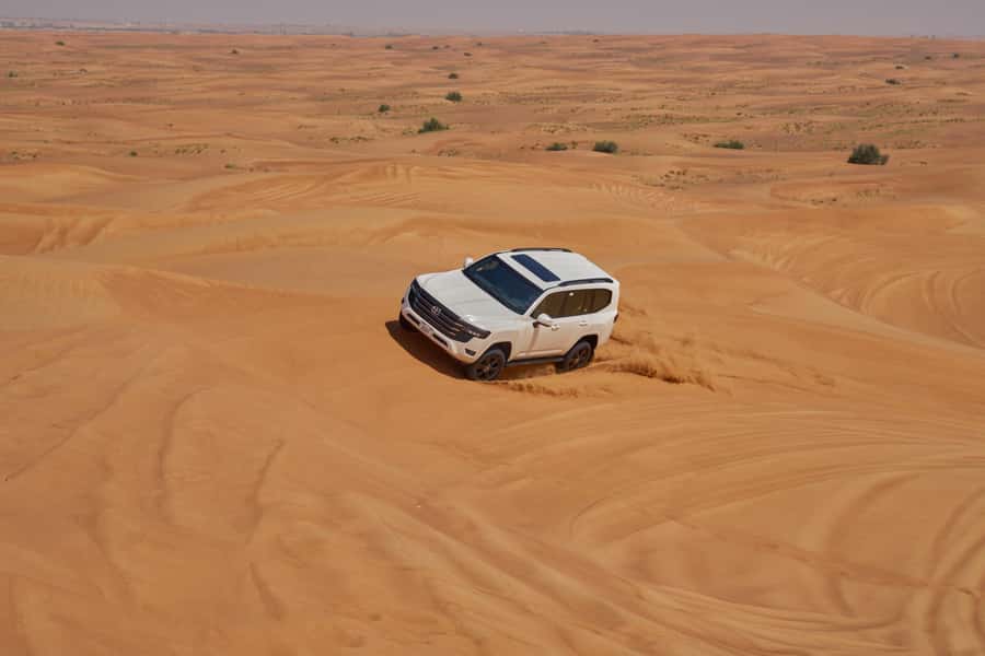 Dubai’s Best Desert Safari: Live Show & Gourmet BBQ Dinner - Gourmet BBQ Dinner and Drink Options