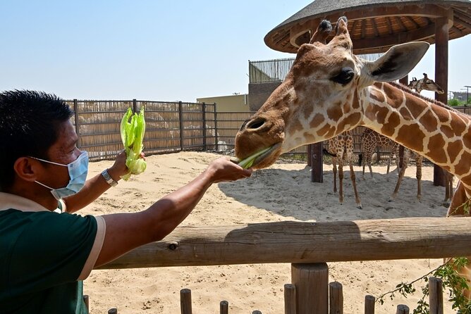 Dubai Safari Park - The 10-Minute Electric Desert Ride
