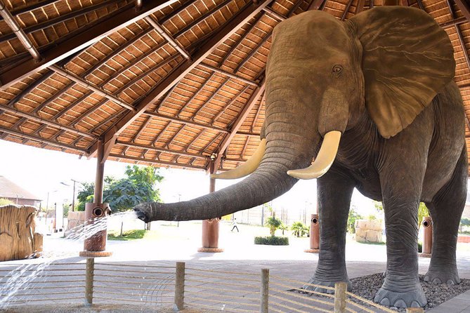 Dubai Safari Park With Transfer - Explorer Village and the included vehicle rides