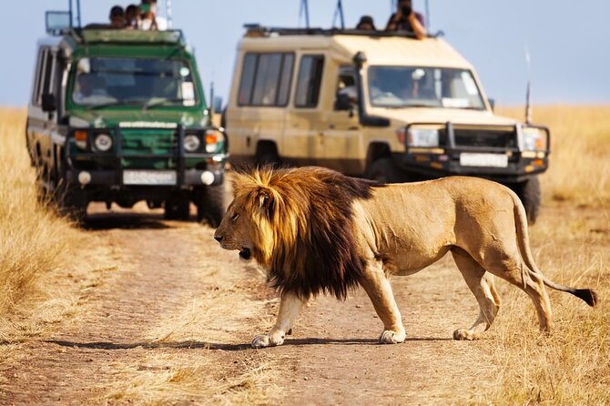 Dubai Safari Park With Transfer - Arabian Desert Safari and local plants