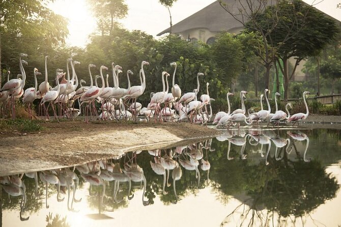 Dubai Safari Park - African Village brings the regional theme to life