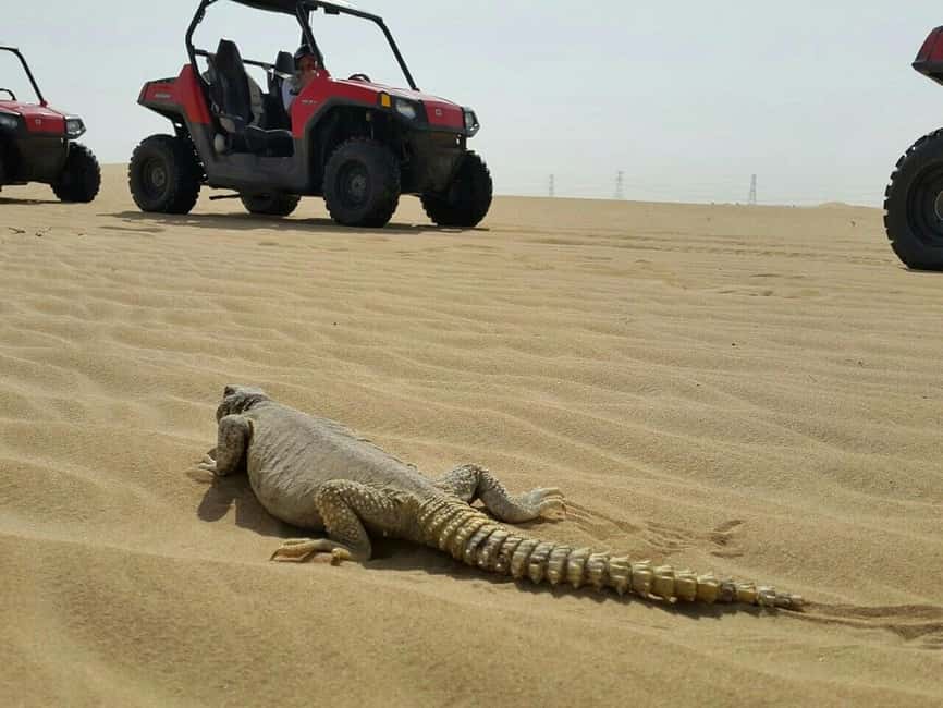 Dubai: Self-Drive Dune Buggy Safari with Pickup and Drop-Off - Why this buggy ride feels different from a standard desert safari