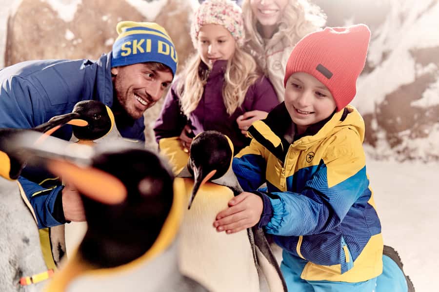 Dubai: Ski Dubai Snow Park Classic Pass - Penguin encounters and other upgrades