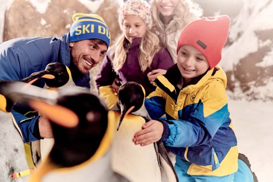 Dubai: Ski Dubai Snow Plus Pass - Who should book this pass?