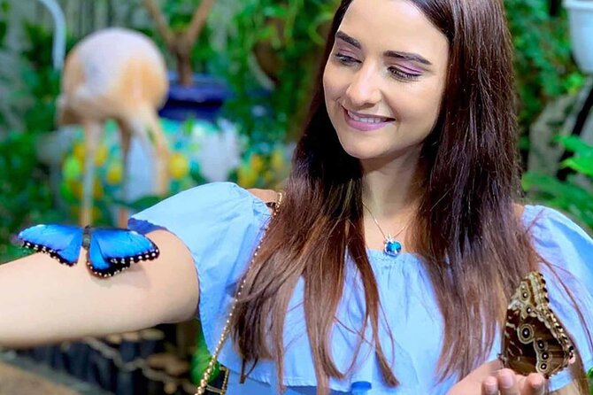 Dubai: Skip-The-Line Ticket to Butterfly Garden - Why the koi pond and seating matter