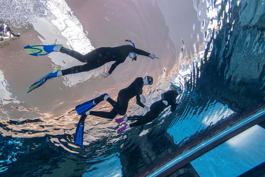 Dubai: Snorkeling at Deep Dive World's Deepest Pool - Floating above Dubai’s sunken city